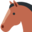 horse face